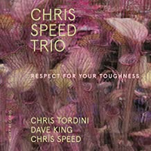 Chris Speed Trio Respect For Your Toughness